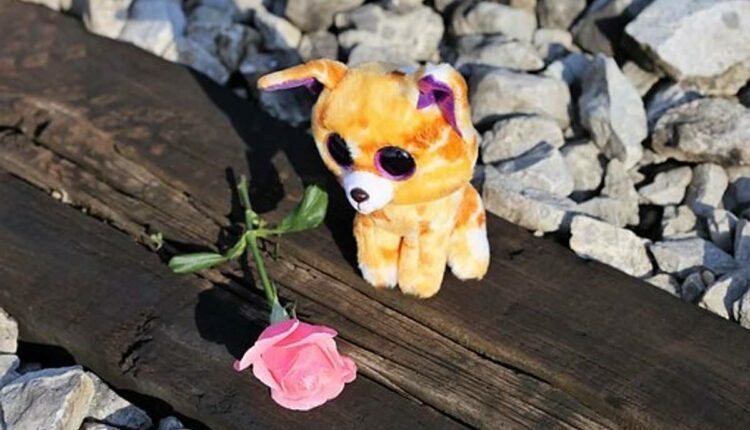 Helping Educators Protect Children