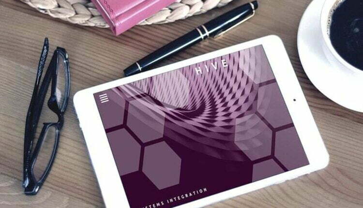 Startups and Small Companies