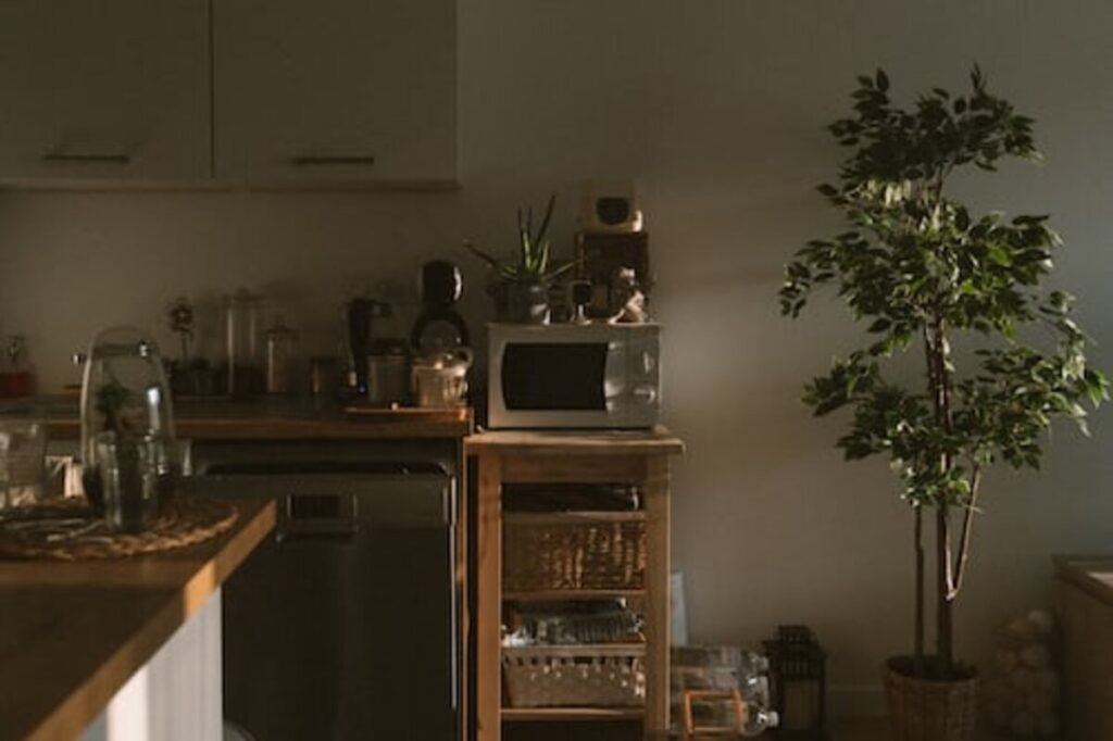 Smeg Microwave Review