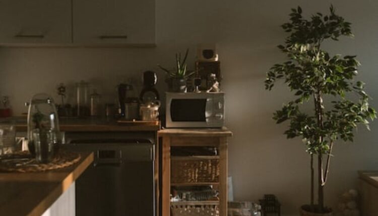 Smeg Microwave Review