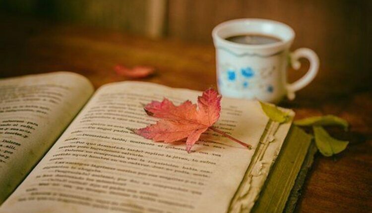 Stages of Reading Development