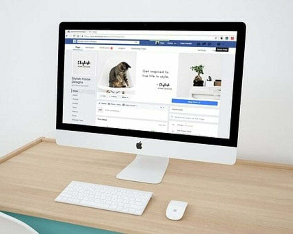 Website Design