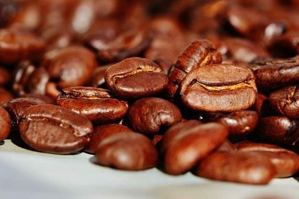 best rated food in kolkata