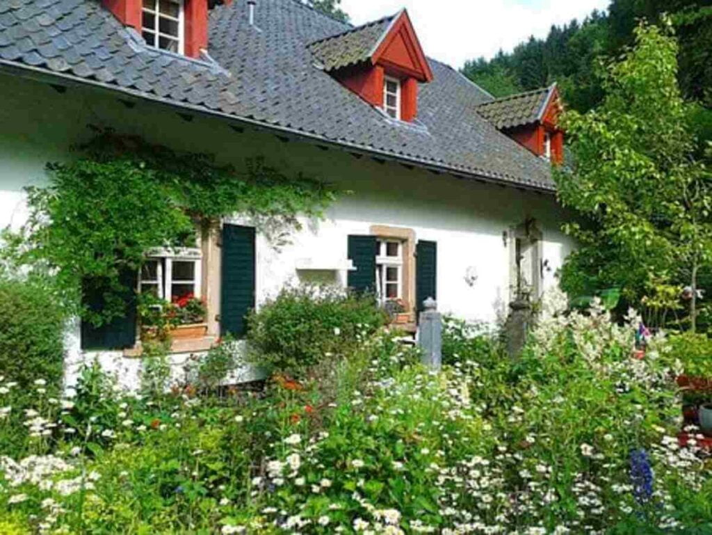 cottage garden plants