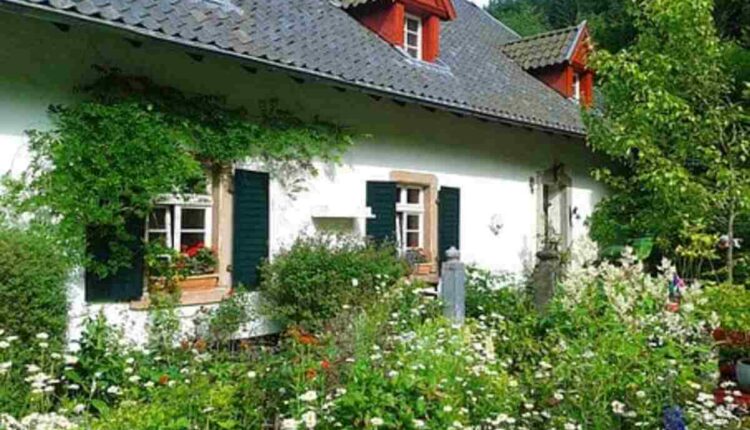 cottage garden plants
