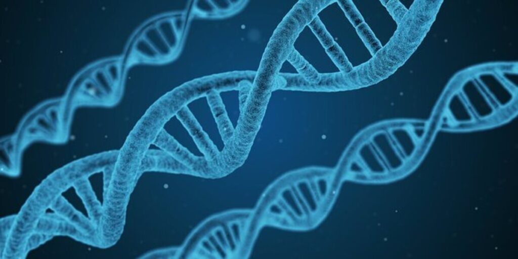 what is a gene