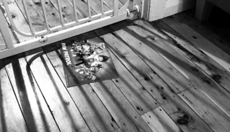 Swinton Insurance Review