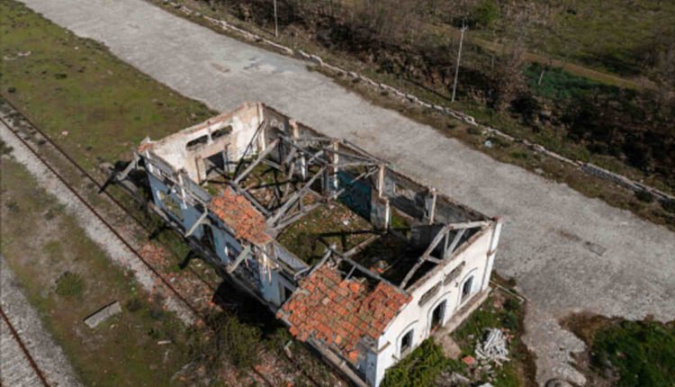 Trawick International Reviews