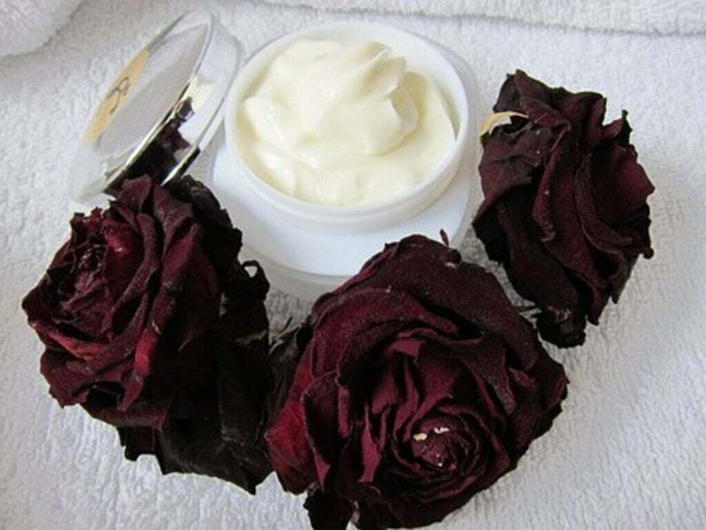 gundry md skin care