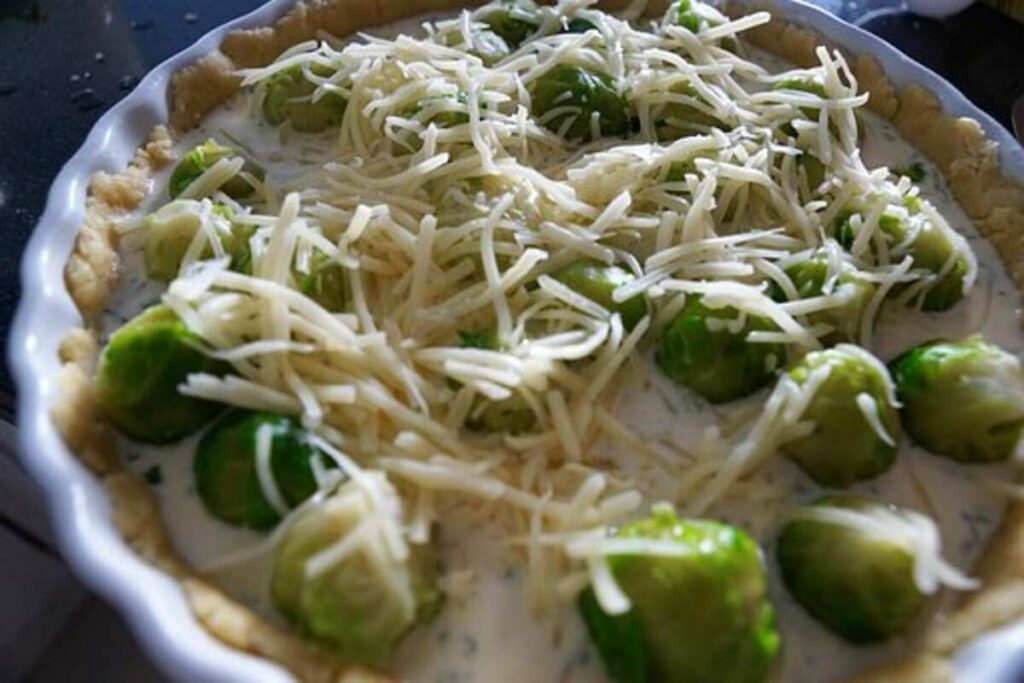 cabbage recipes