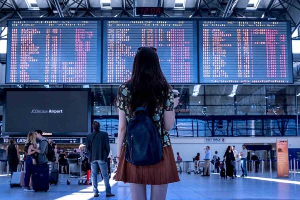 IndiGo Flight & PNR Status Check