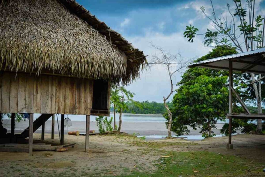 amazon home