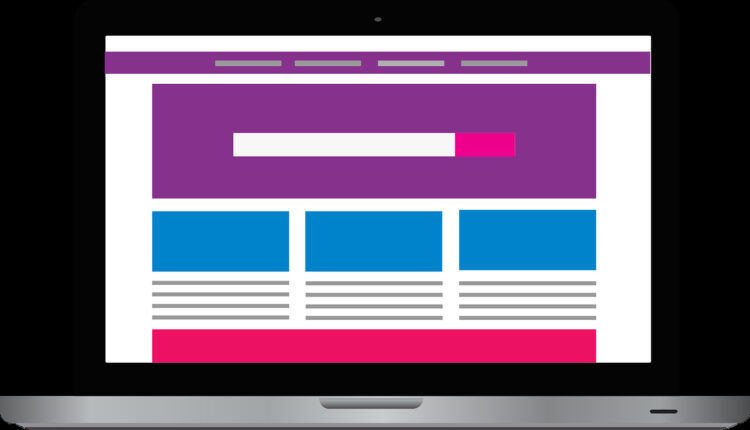 What is portfolio entrepreneur?