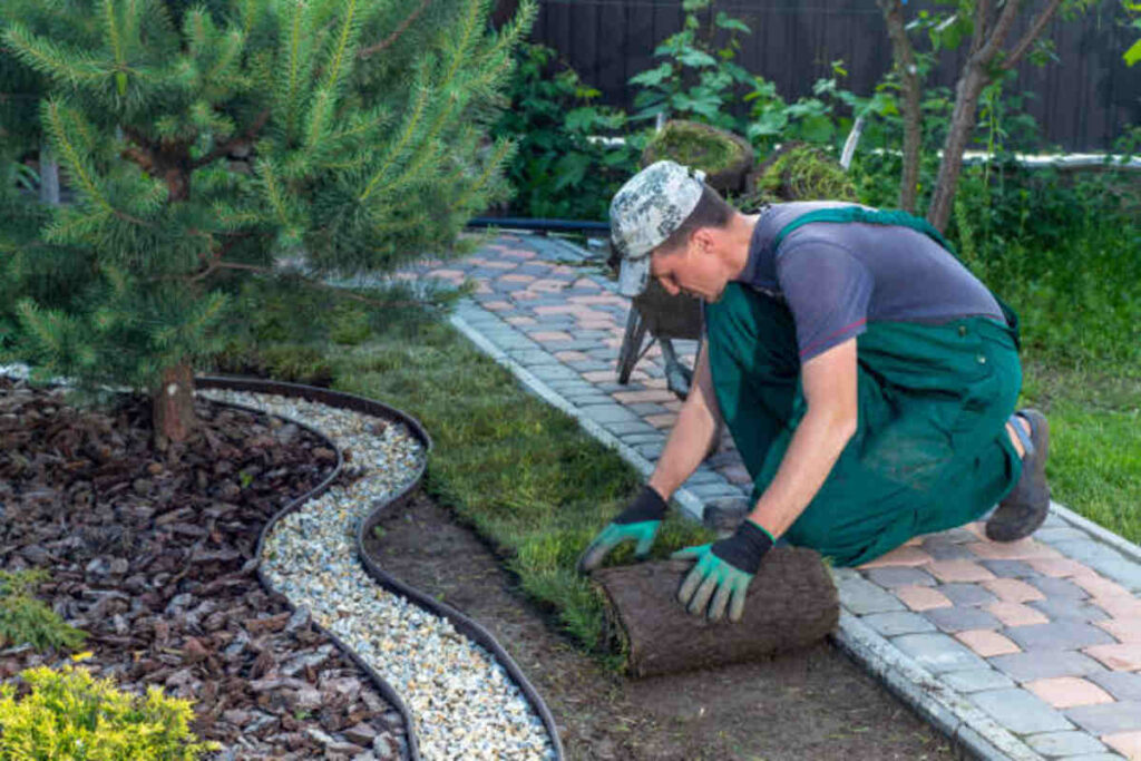 landscaping business