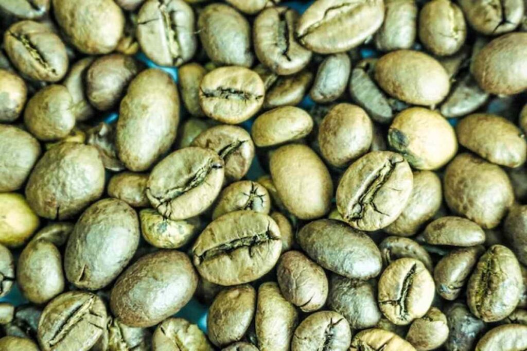 specialty green coffee