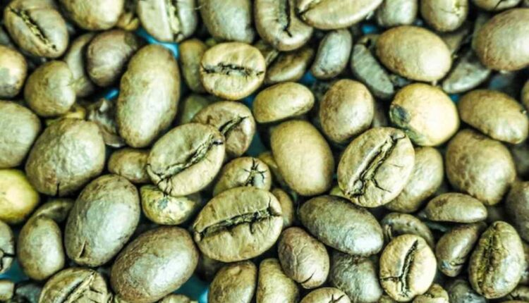 specialty green coffee