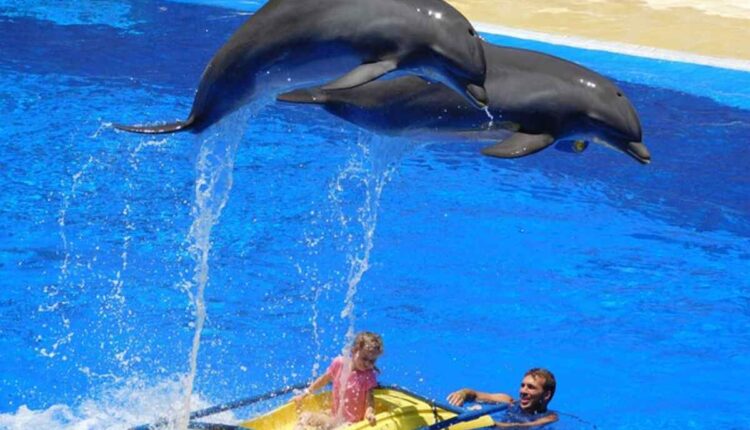 Nicco Park Water Park Dress