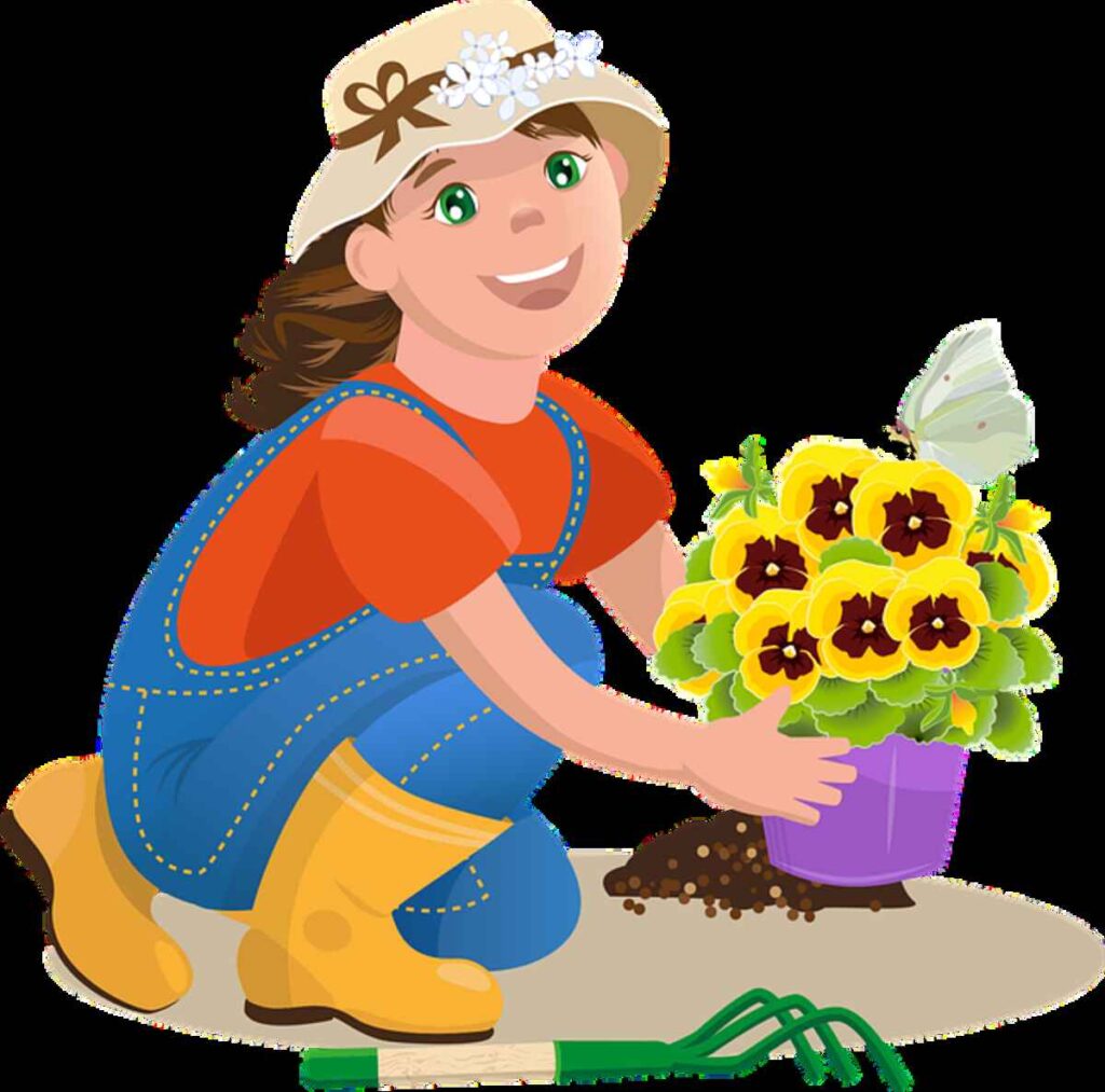 Plant Cartoon