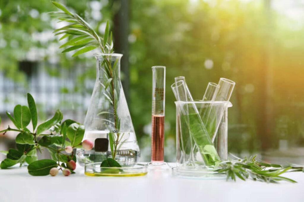 Physical Plant