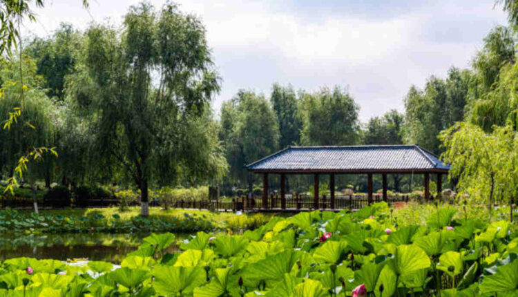 A Wonderful New World Manhwa