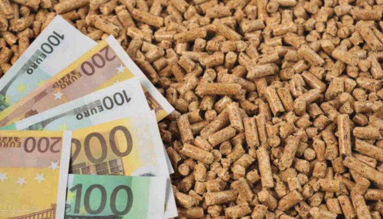 Food Lion Cash Checks