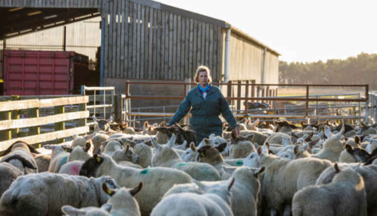 Samuel Walker Shepard