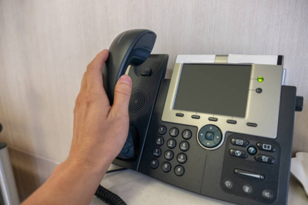 Dixie D'Amelio Phone Number