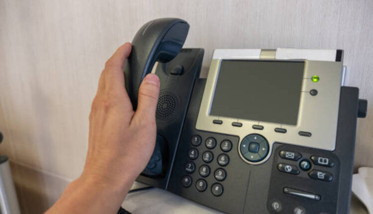 Dixie D'Amelio Phone Number