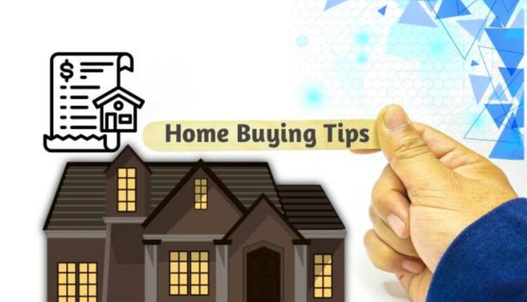 Belong to House Castielo - Chapter 1