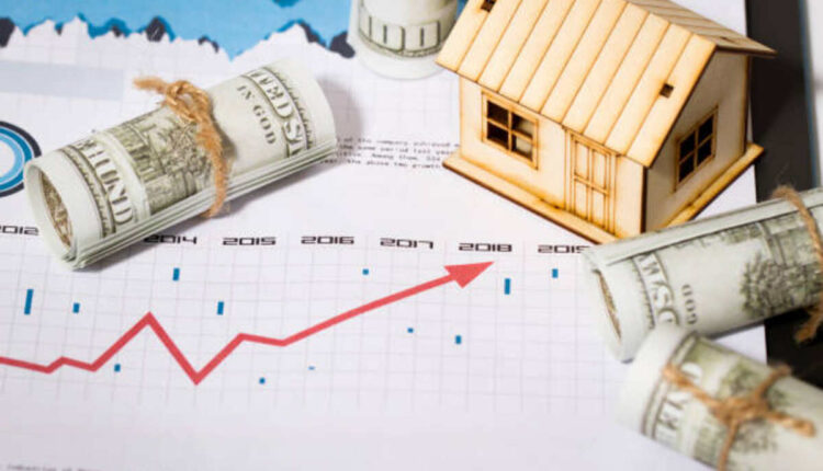 Pinnokka Vikasana Corporation Loan Details