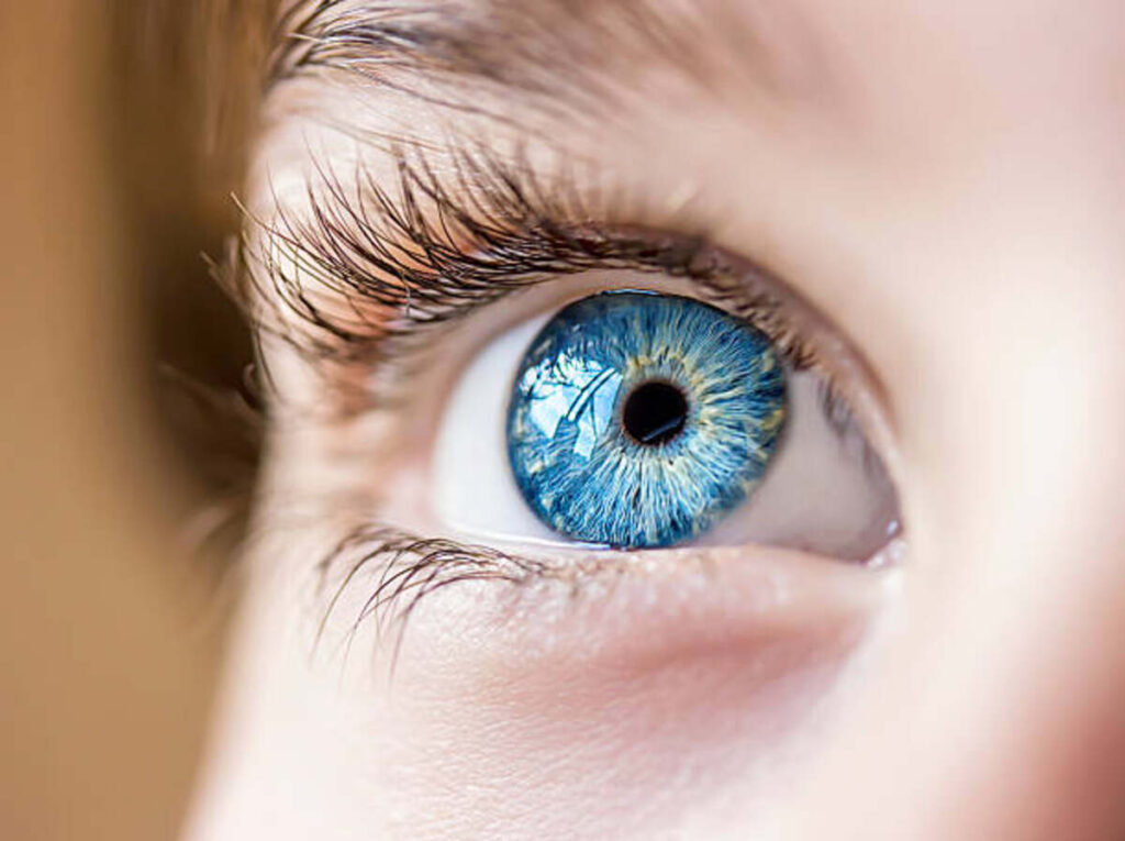Riddle - What Has Four Eyes But Can't See?