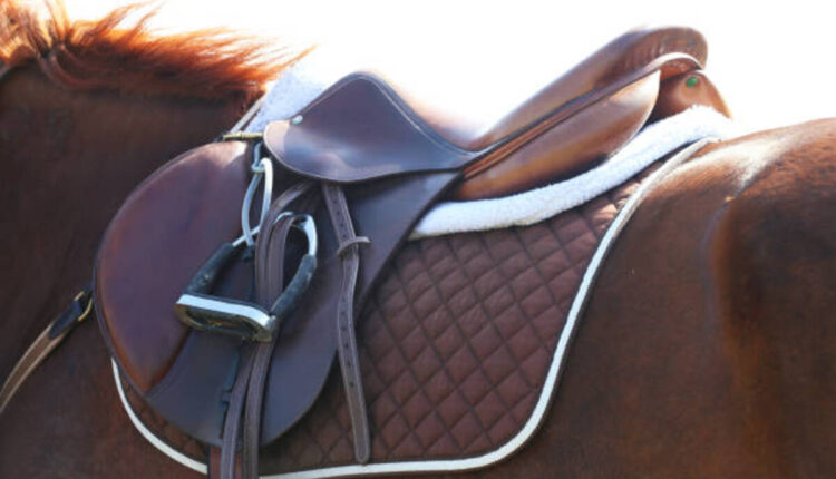 Total Saddle Fit For Your Horse