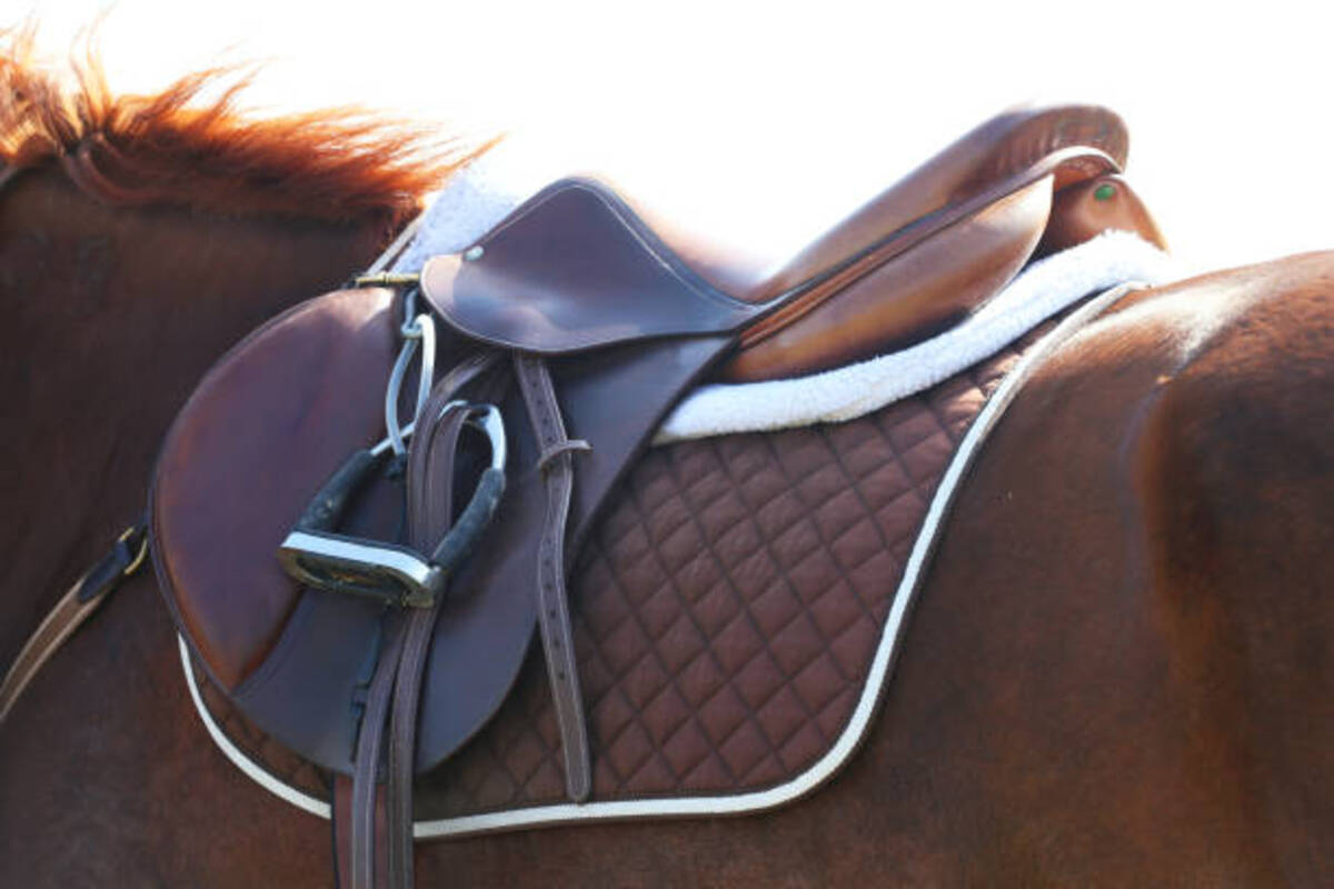 Total Saddle Fit For Your Horse