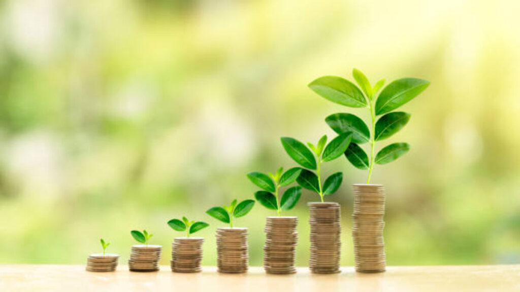 what is cup loan program
