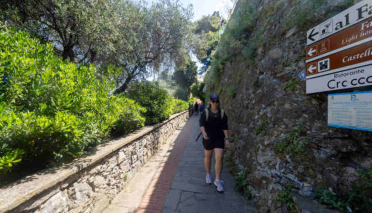 Exploring the Features of MovieOrca