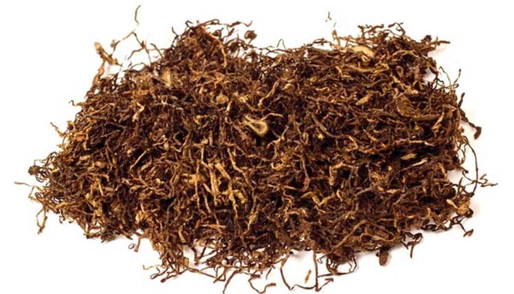 Tangiers Tobacco A Guide for Beginners