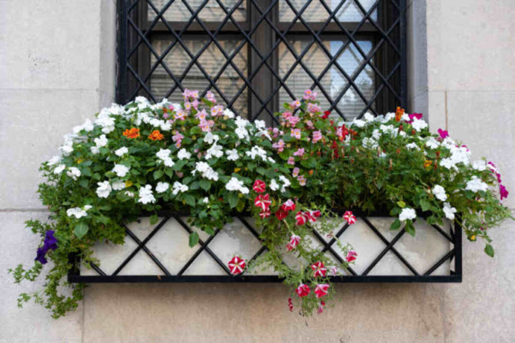 Garden Screens A Stylish and Functional Addition to Your Outdoor Space