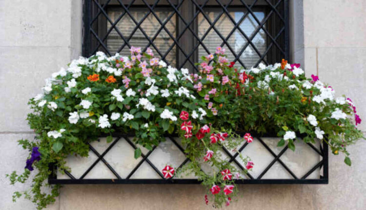 Garden Screens A Stylish and Functional Addition to Your Outdoor Space
