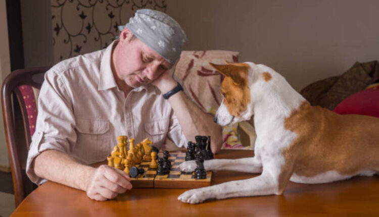 Your own Winnings with Betfido Experience